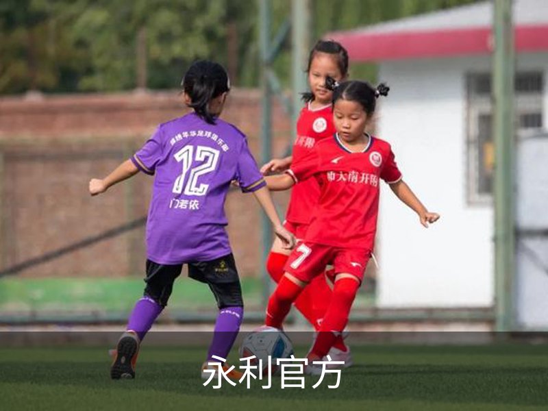 永利官方简介